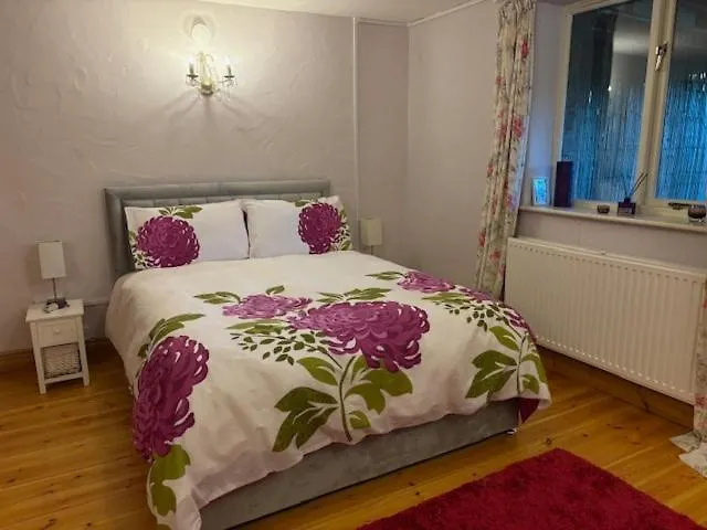 Olli's Summer House - Natural Pool & Jacuzzi Optional Villa Bristol