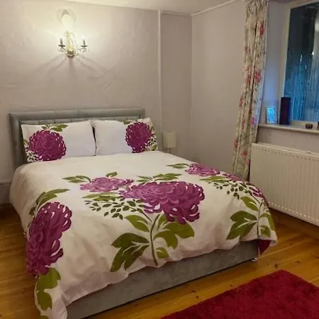 Olli's Summer House - Natural Pool & Jacuzzi Optional Villa Bristol